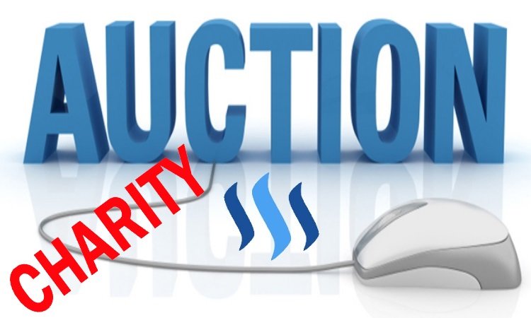 CHARITY AUCTION LOGO.jpg