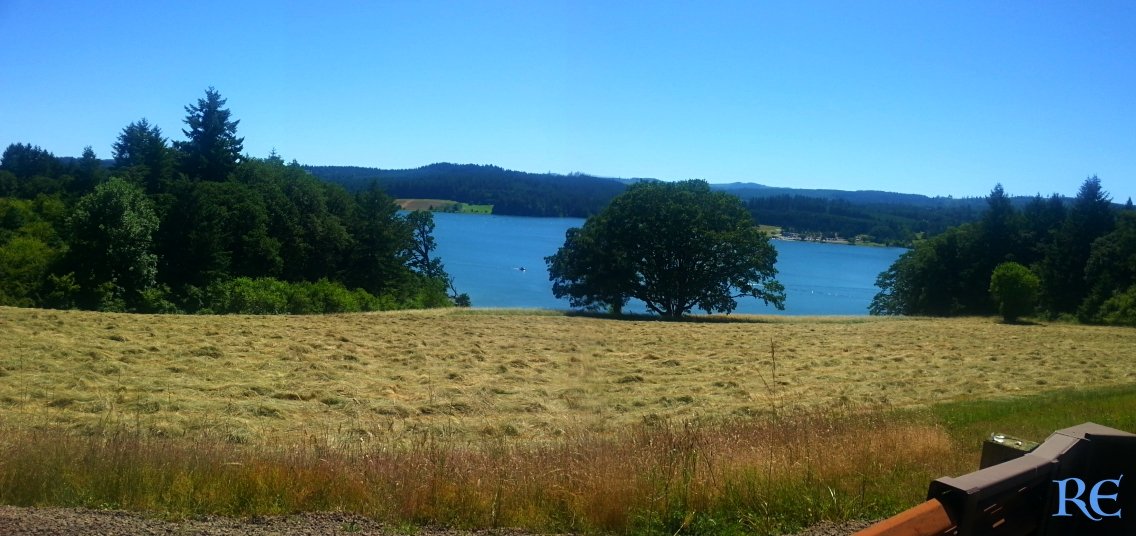 lake_partialp_robyneggs.jpg