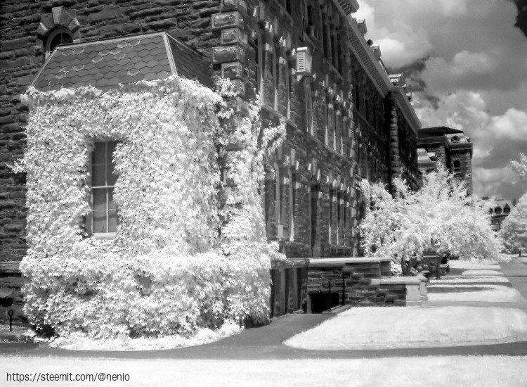 ir-cornell02.jpg