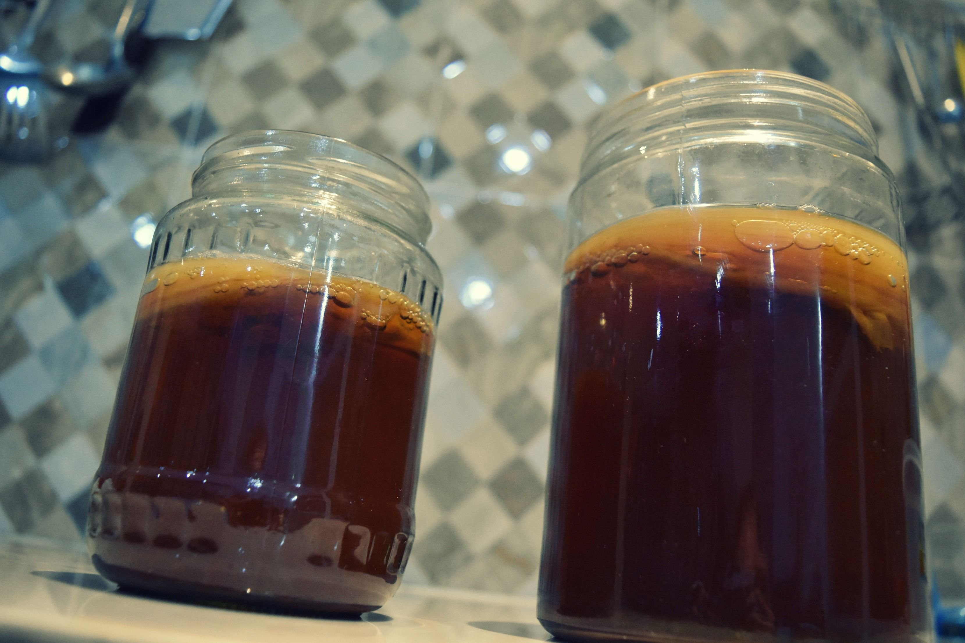 scoby-11.jpg