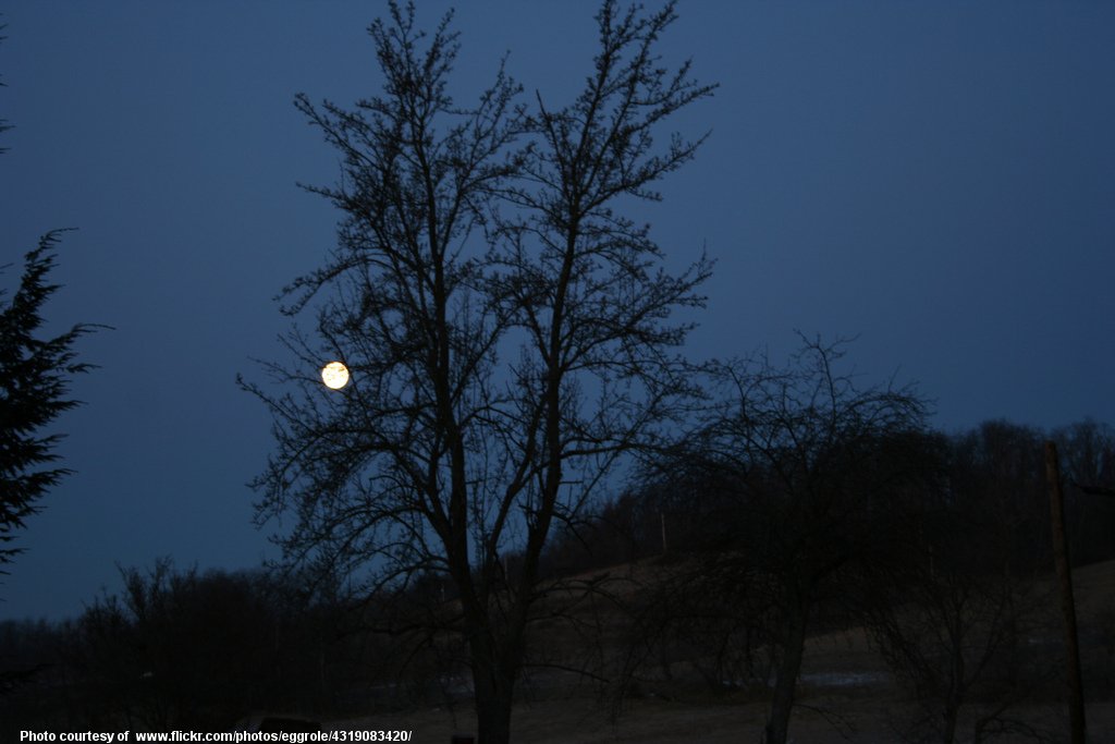 FullMoonAndDarkTree-030217.jpg