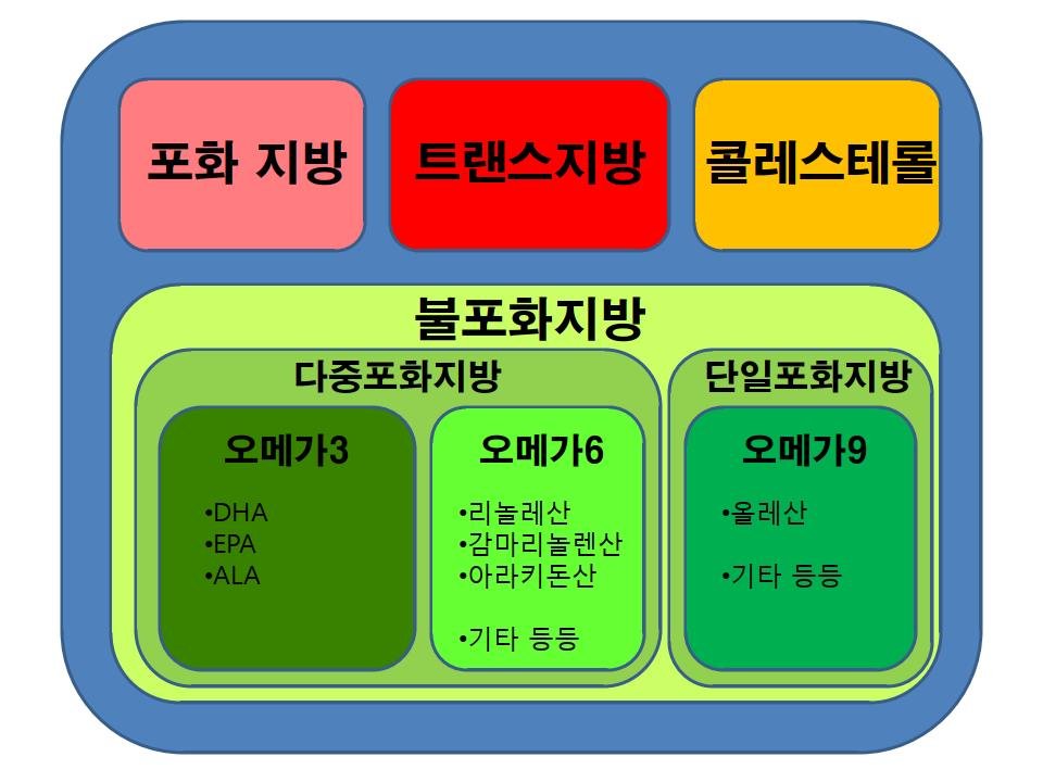 기름의 성분_0003.jpg