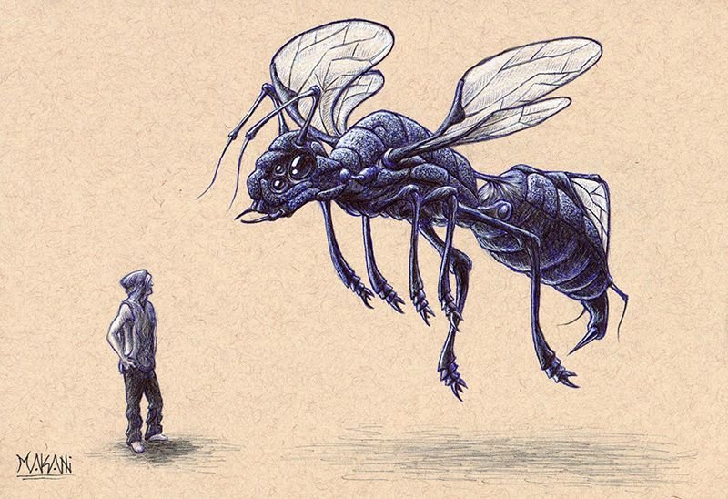 Giant Draco Wasp - web.jpg