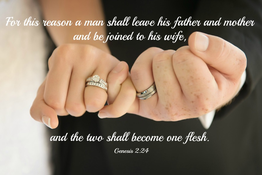 Image result for For this reason a man shall leave his father and mother and be joined to his wife, and the two shall become one flesh
