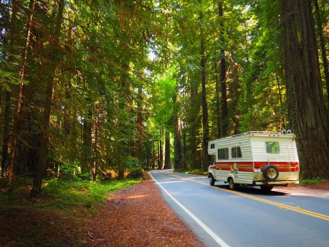 P5274870-annie-motorhome-driving-through-forest.jpg