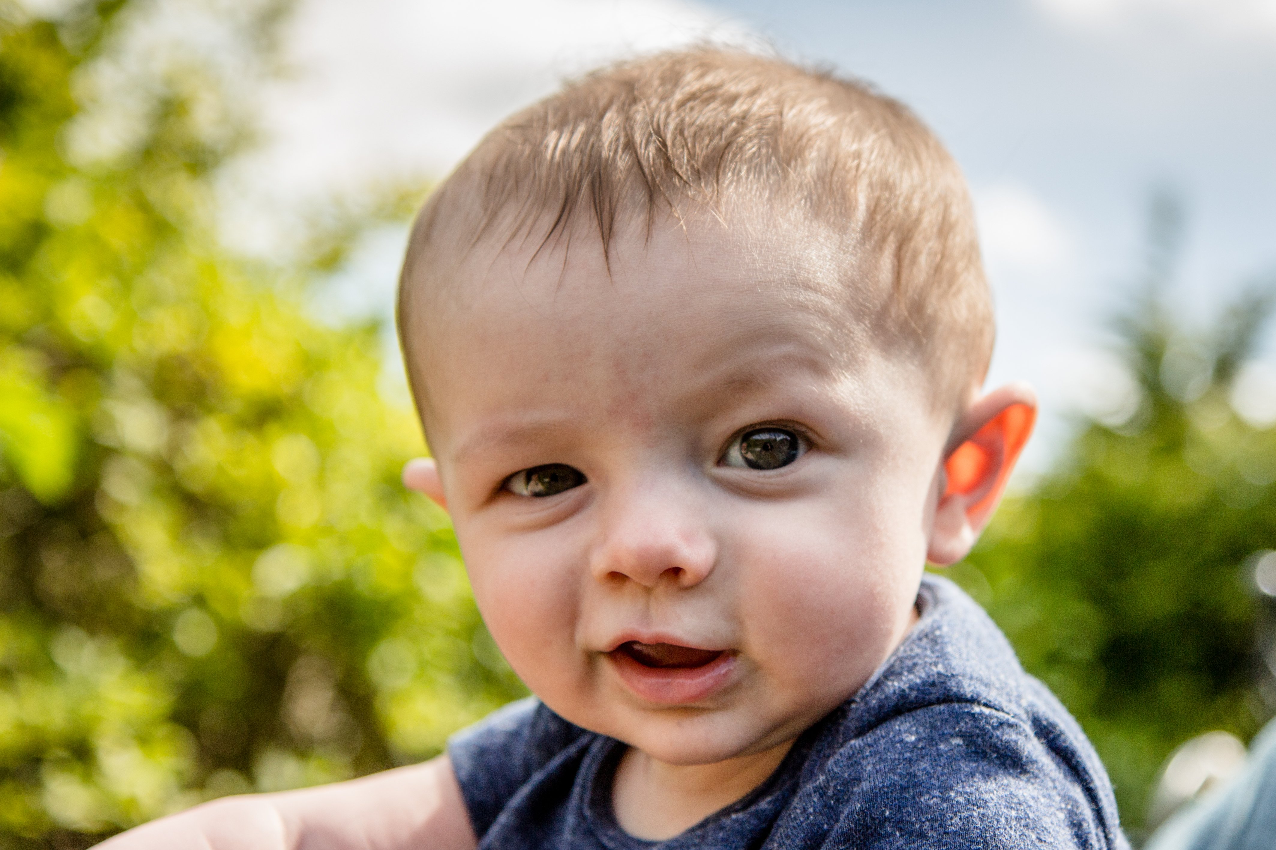 The One Where Steel Photographs An Evil Genius Babywho Should