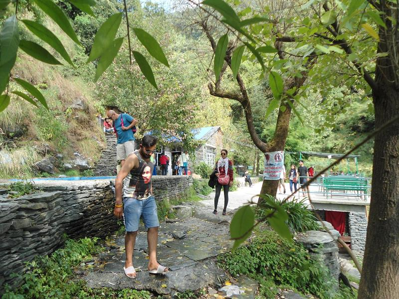 Shiva Cafe Cafe Comfort In Be Wilderness Trip To Mcleod Ganj