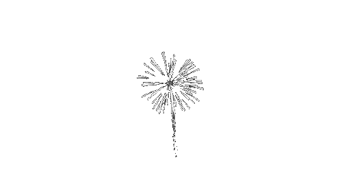 fireworks-clipart-tumblr-transparent-5.gif