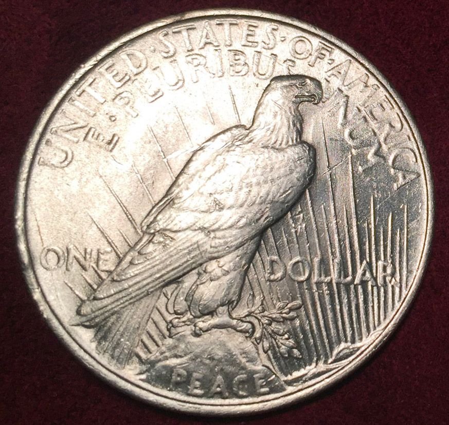 PEACEDOLLAR-3.jpg