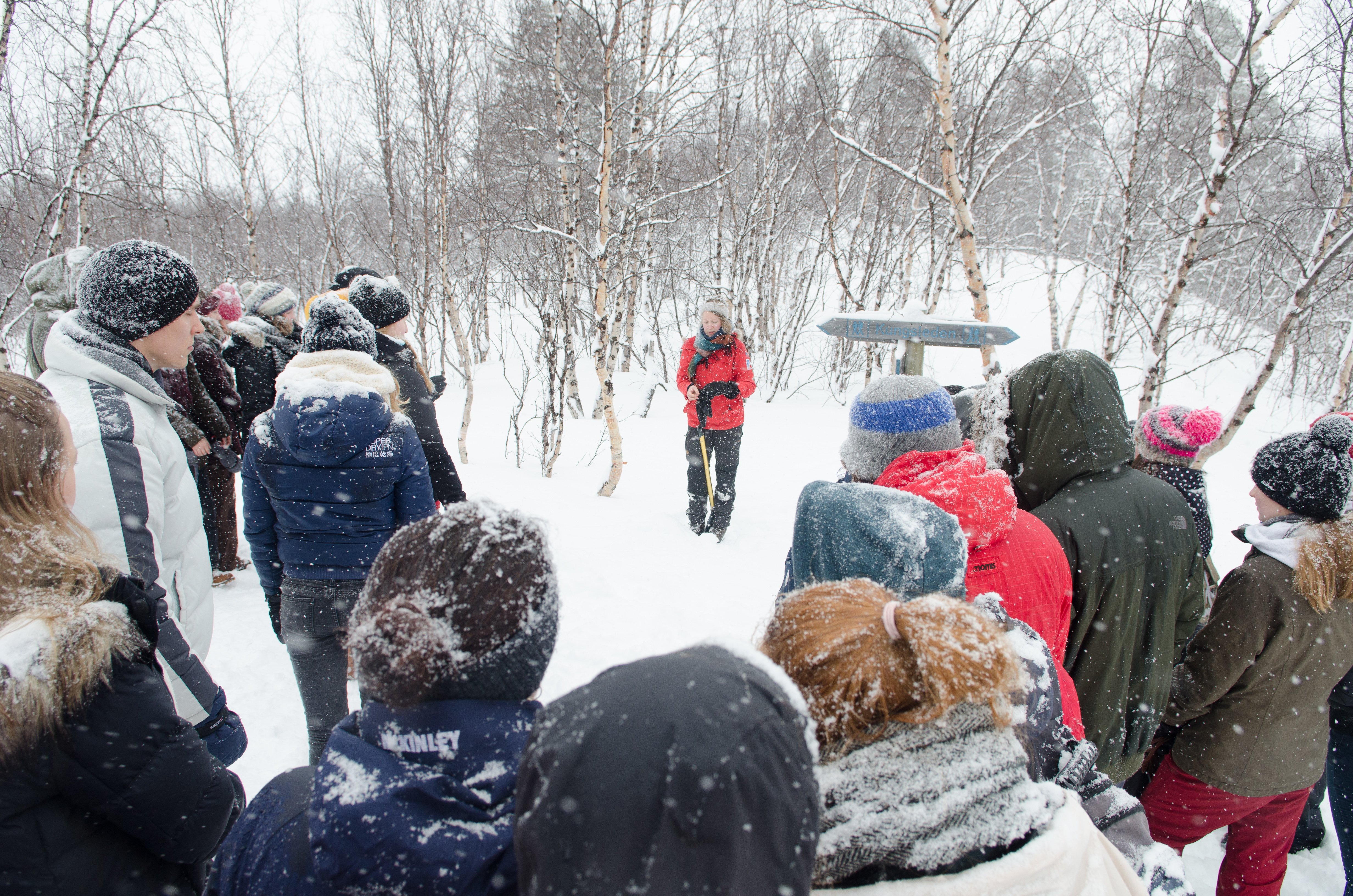 NIKON D7000_Lapland-3738.jpg