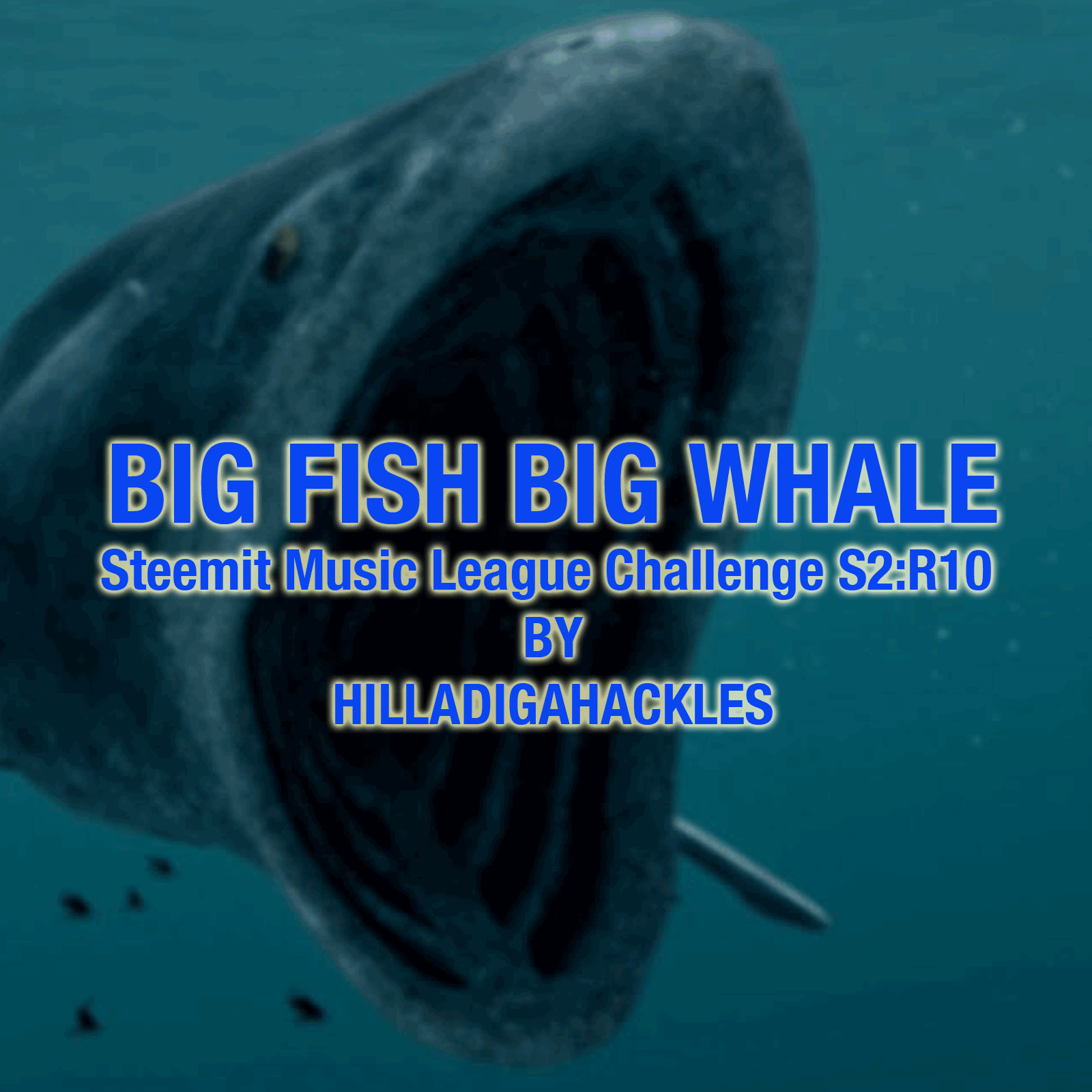 BIG-FISH-BIG-WHALE-ART.png