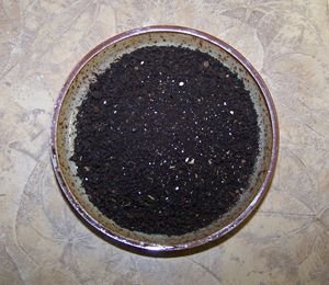 Bloodmeal crop March 2018.jpg