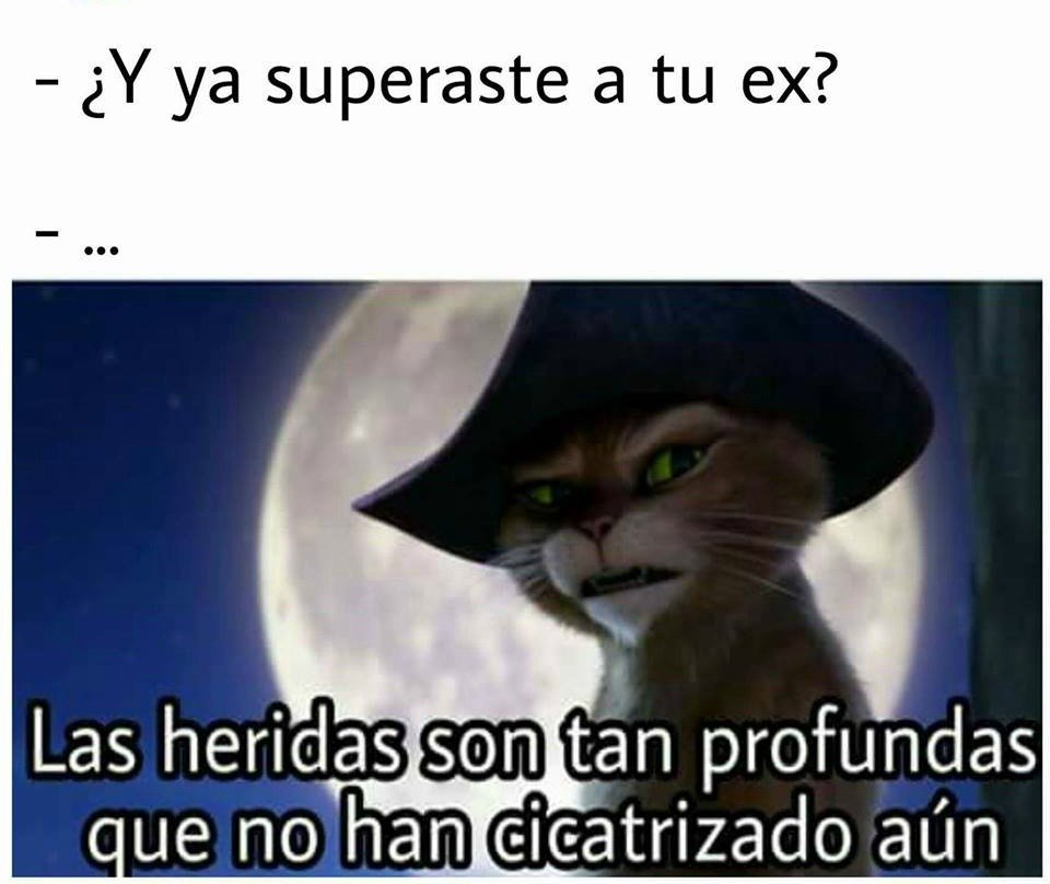 Y Ya Superaste A Tu Ex Meme Top