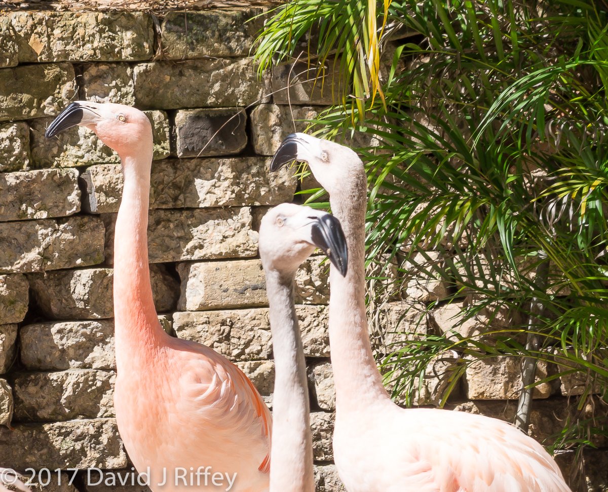 Sunken Gardens-00183.jpg