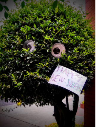 Un árbol despide el año