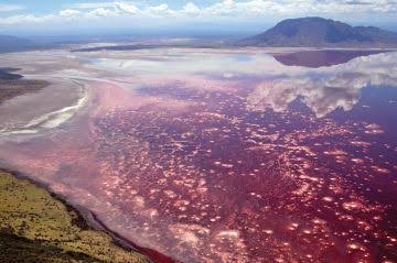 lake-natron-1496820270.jpg