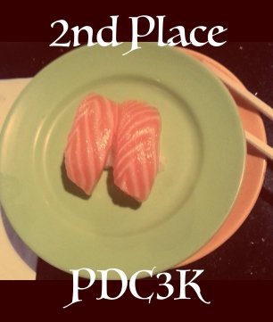 2ndPlace_pdc3k_re_306.jpg