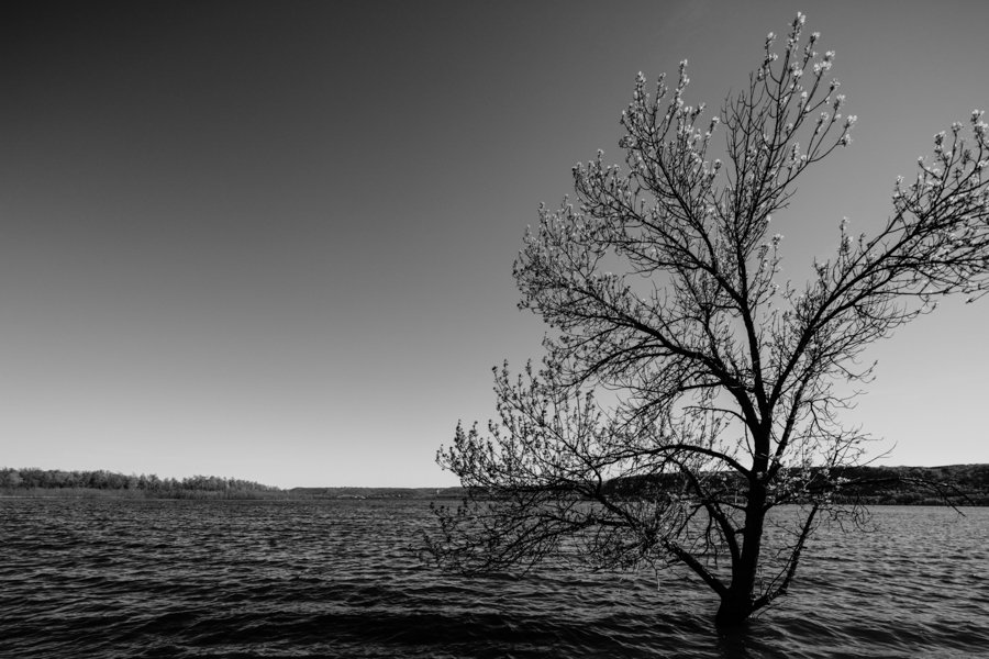 Pepin Spring Flood B&W 2.jpg