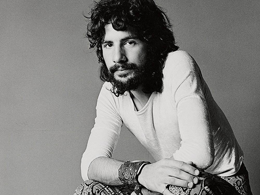 catstevens.png