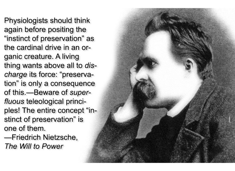 nietzsche-preservation.jpg