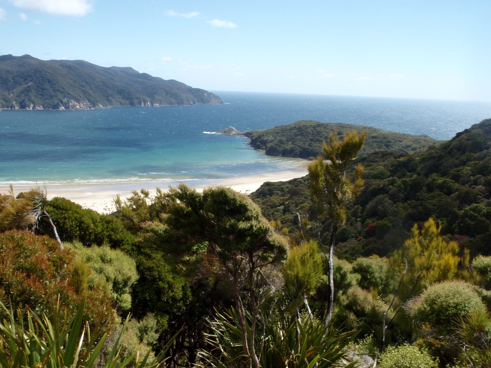 Stewart Island New Zealand — Steemit