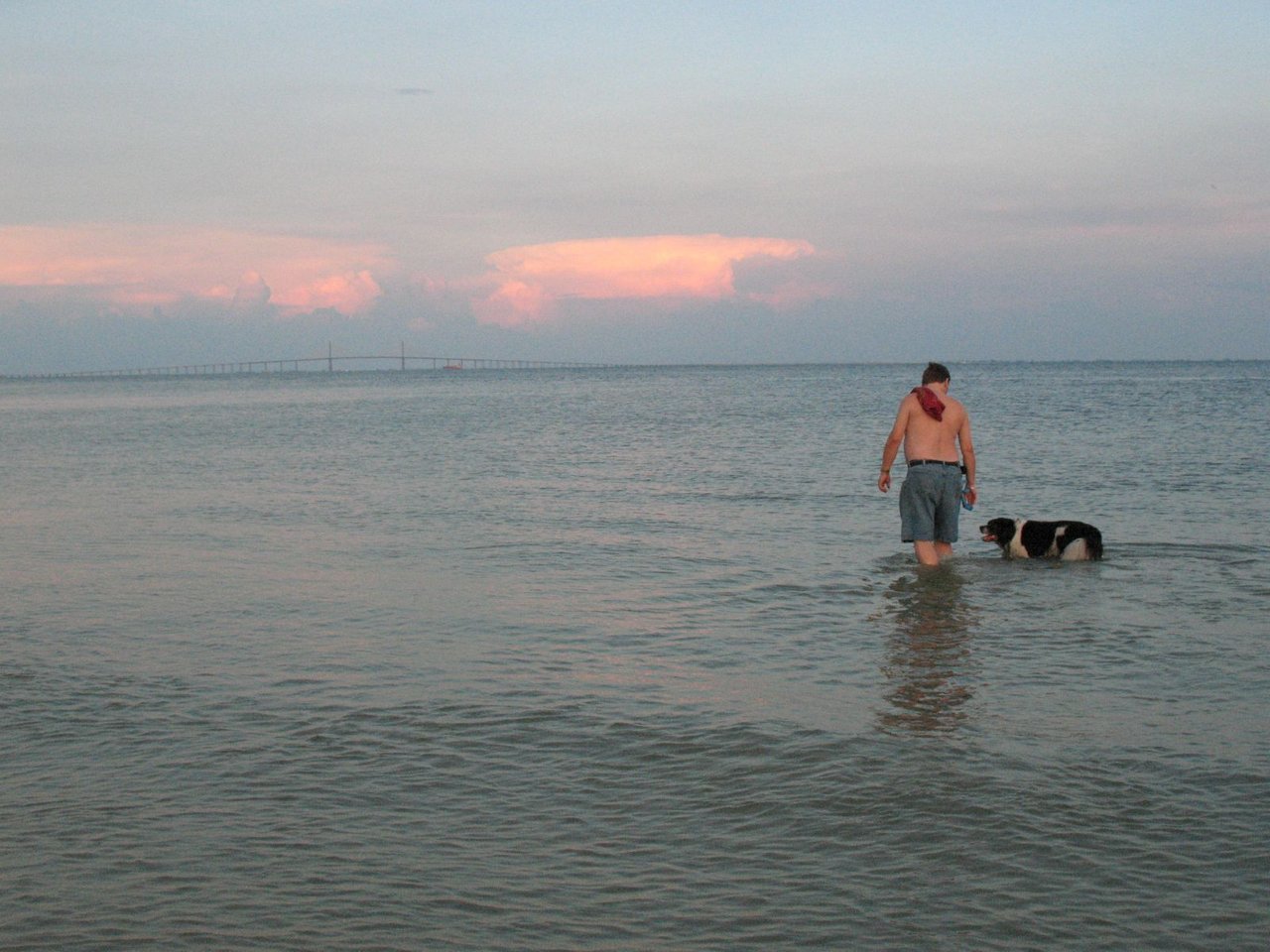 20090910 Sprinkles and Marek at Dog Beach, Ft DeSoto 031.jpg