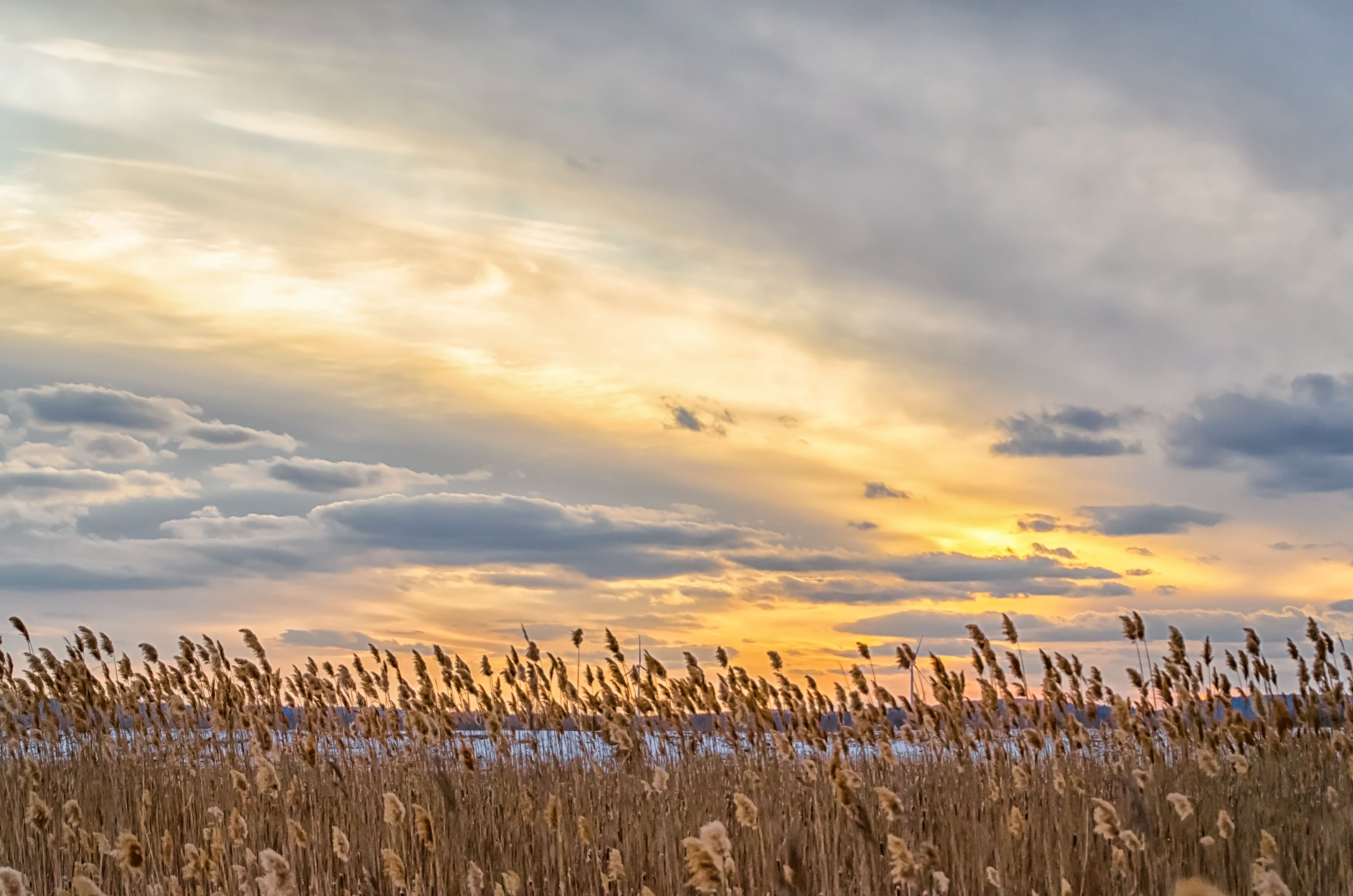 Sunset Plum Island.jpg