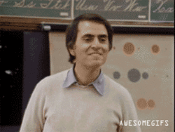 giphy_s (5).gif