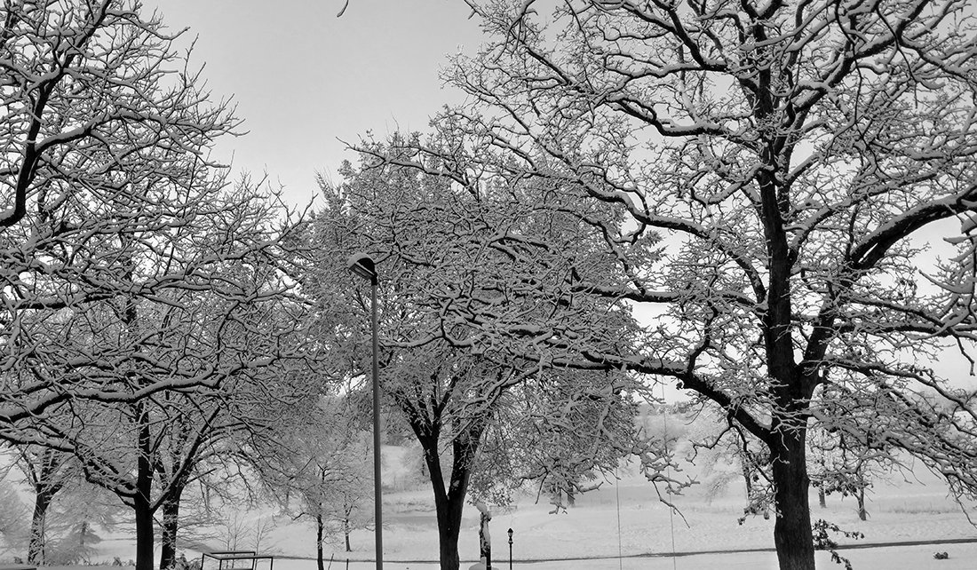 winter-b&w2.jpg