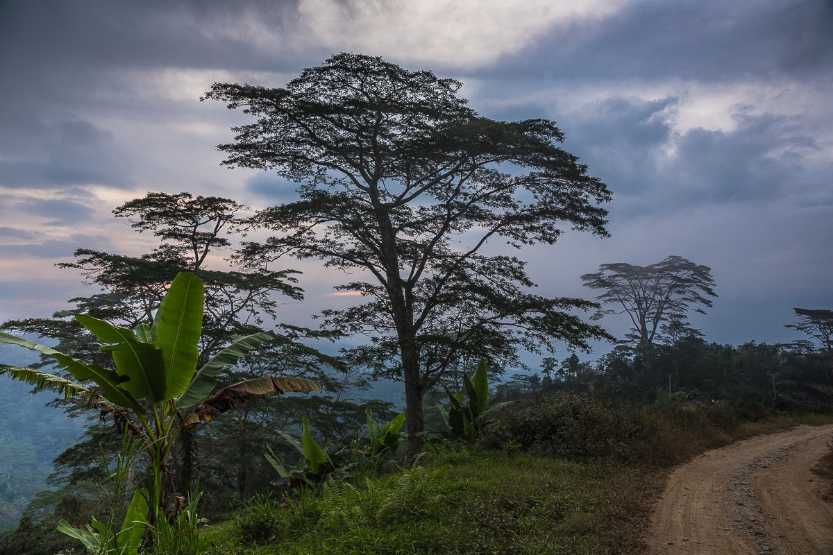 fazenda 172 caminho 15.jpg