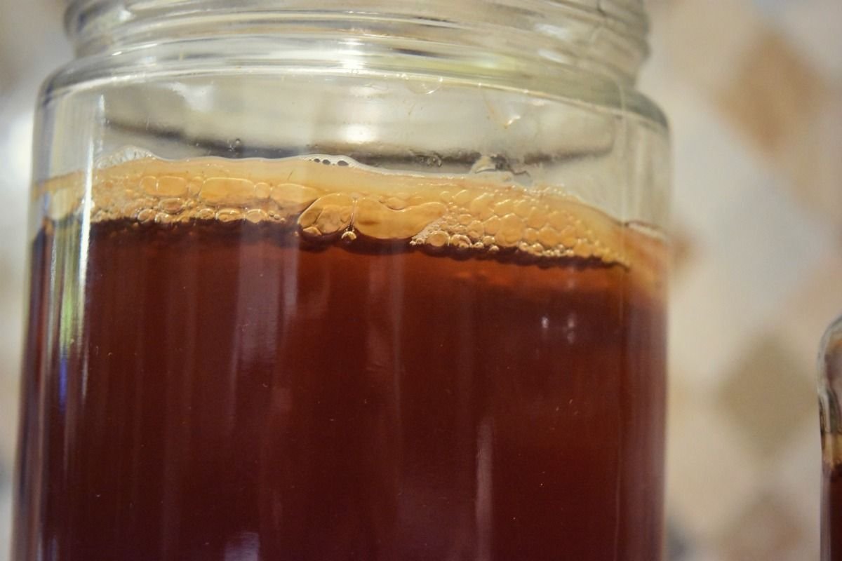 scoby-8.jpg