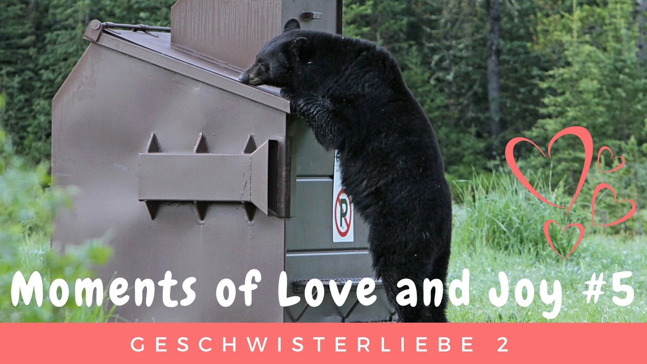 Moments of Love and Joy #6 - Geschwisterliebe 2
