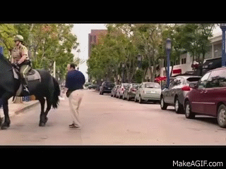 Paul_Blart_Mall_Cop_horse_scene.gif