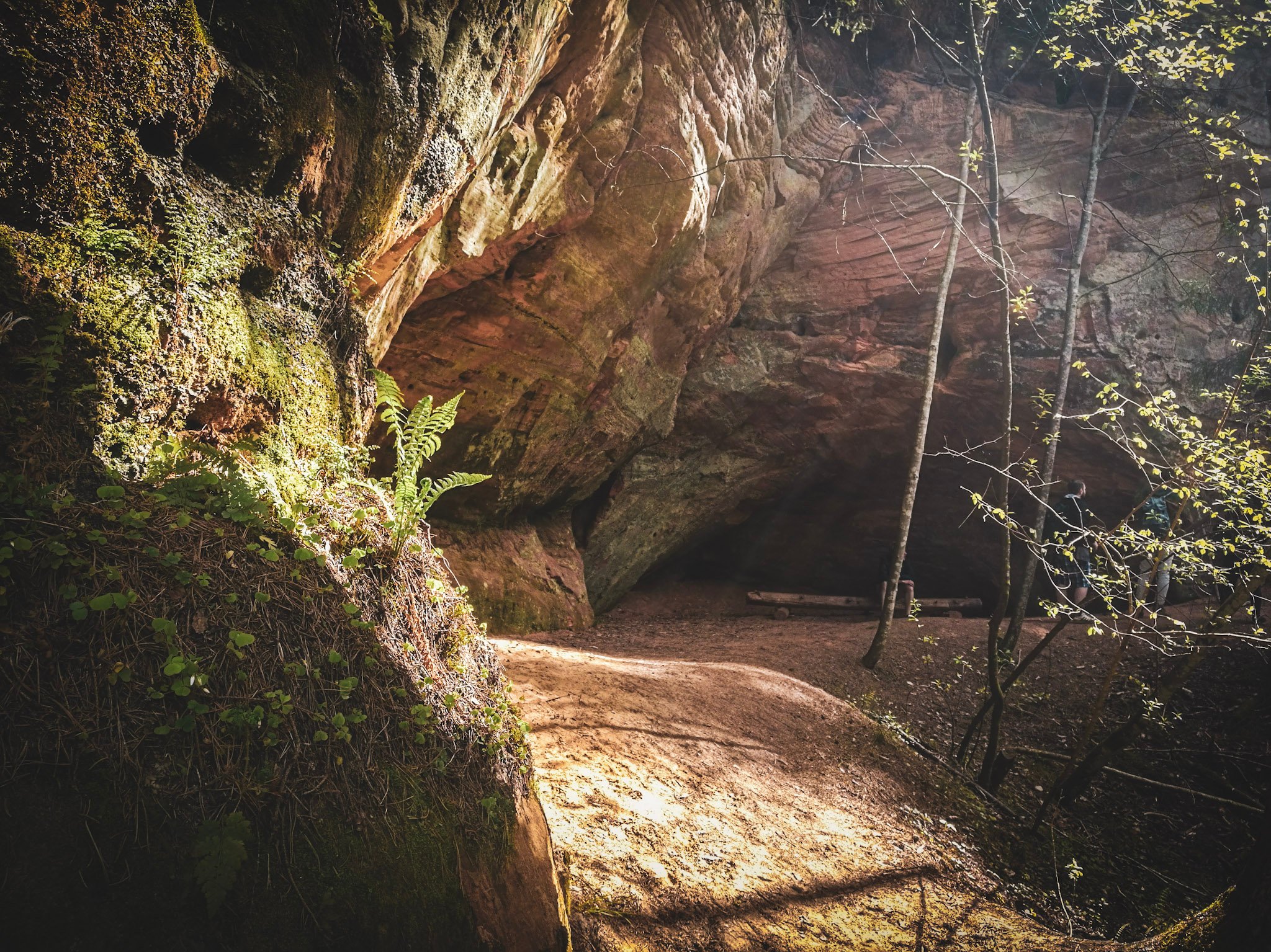 langu-cliffs-bench.jpg