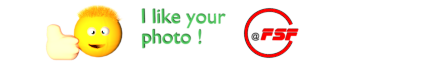 Like Photo0001.png
