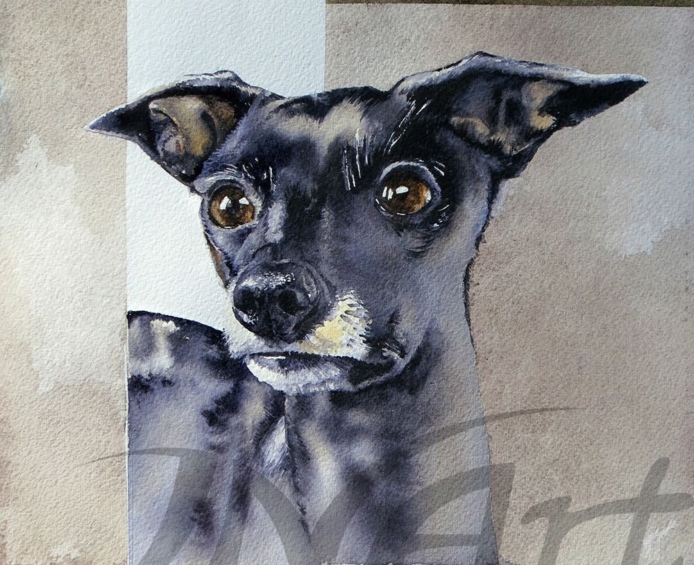 Hund - Dog - watercolor2.jpg