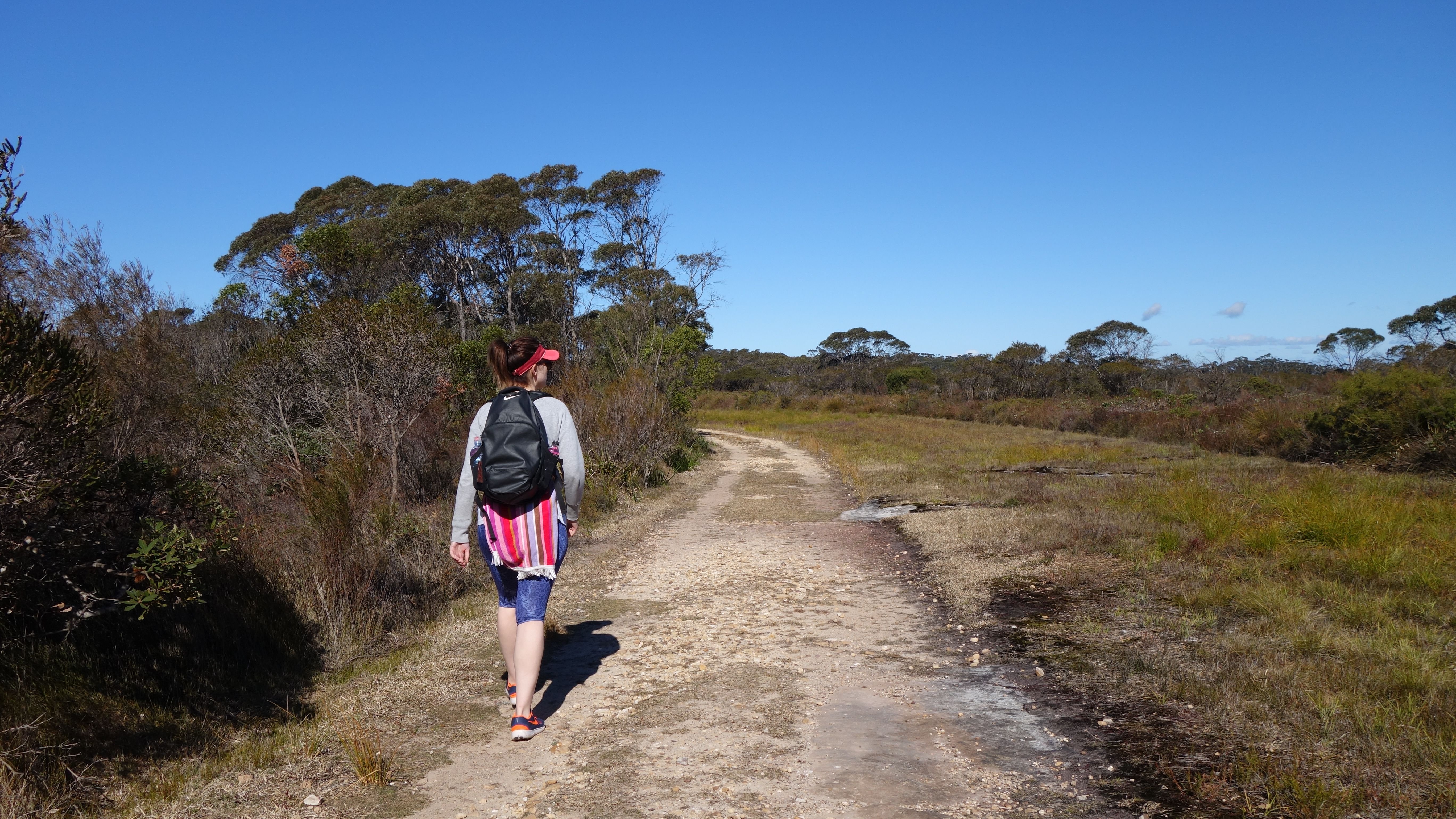 Heathlands