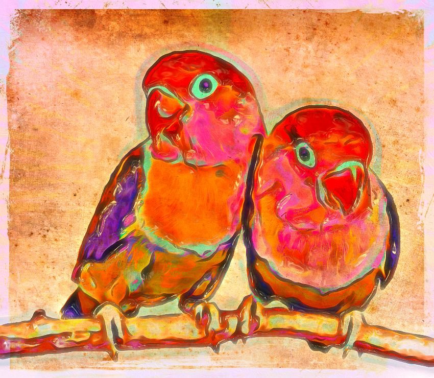 love birds.jpeg