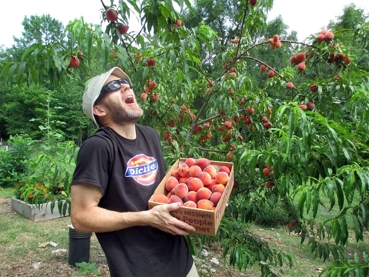 peach_harvest_june_2nd.jpg