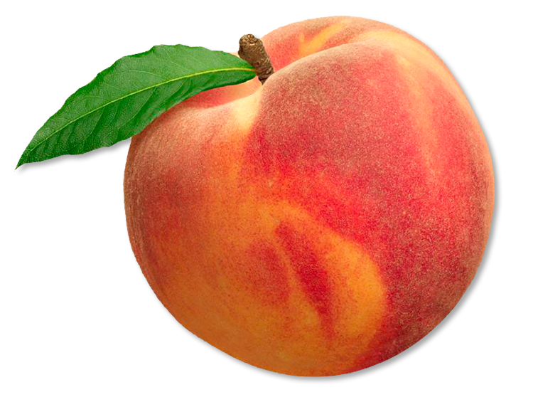 peach.png