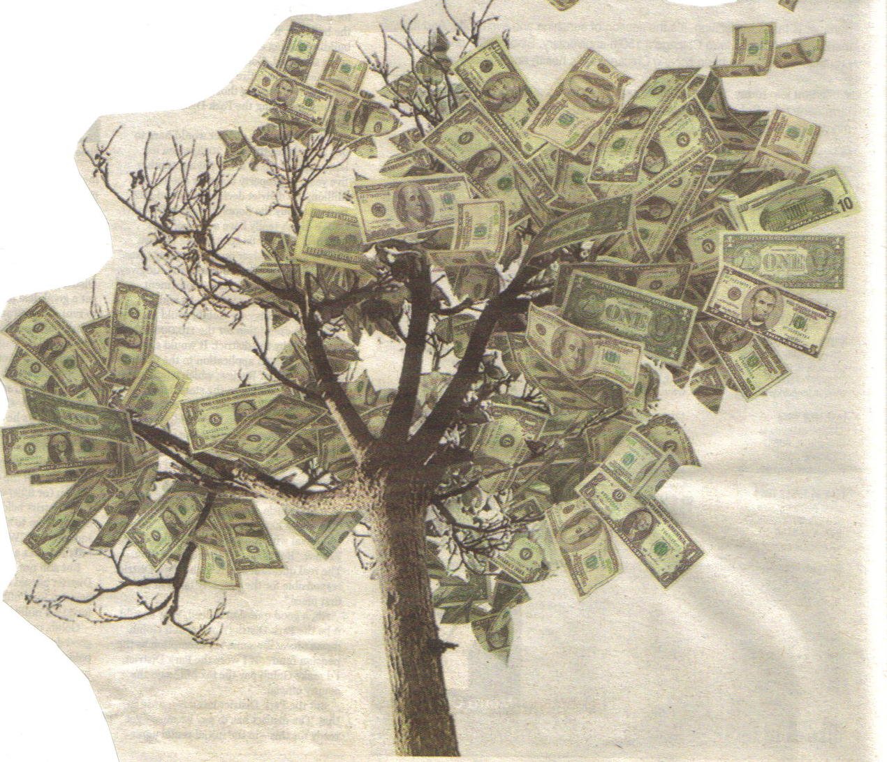 money tree.jpg