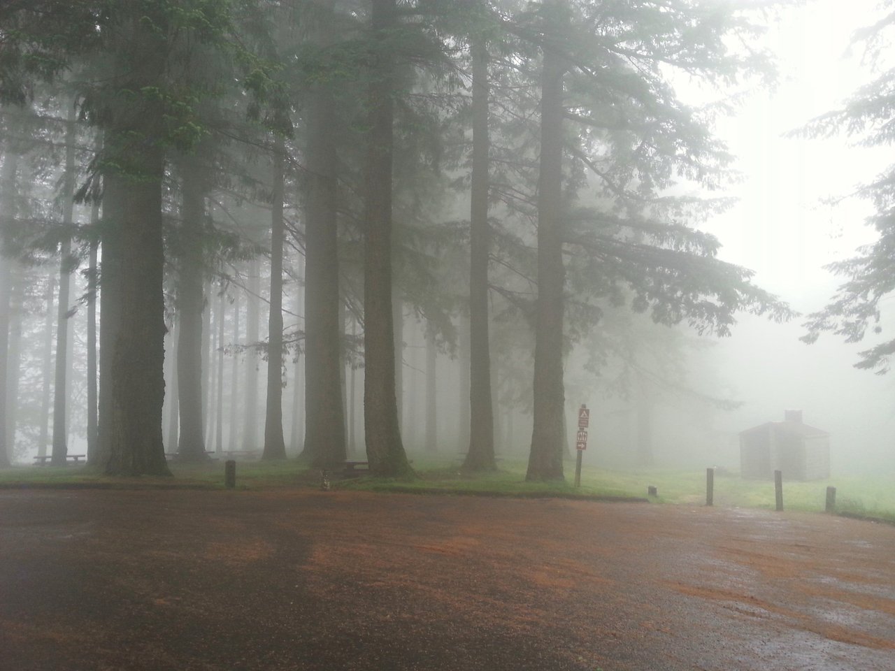 bald-peak-state-park-restrooms-doused-in-fog-pine-needles-on-ground-june-15-2017-late-morning-warm-rain-up-above_35214049231_o.jpg