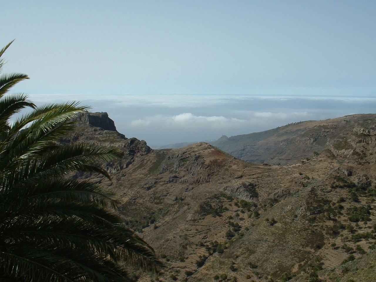 tenerife 021.jpg