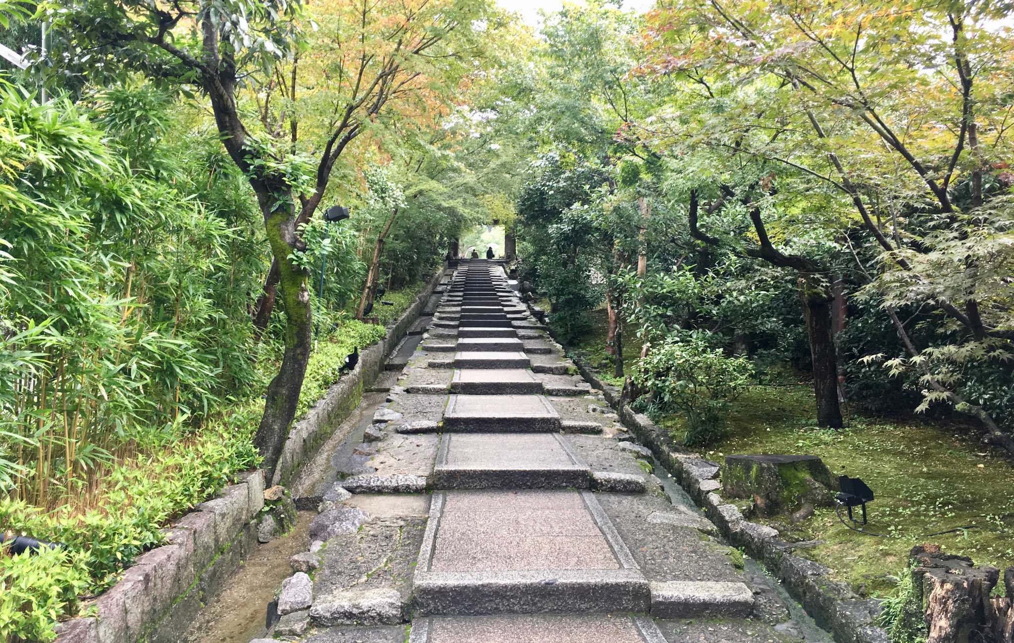 kodai-ji-0.jpg