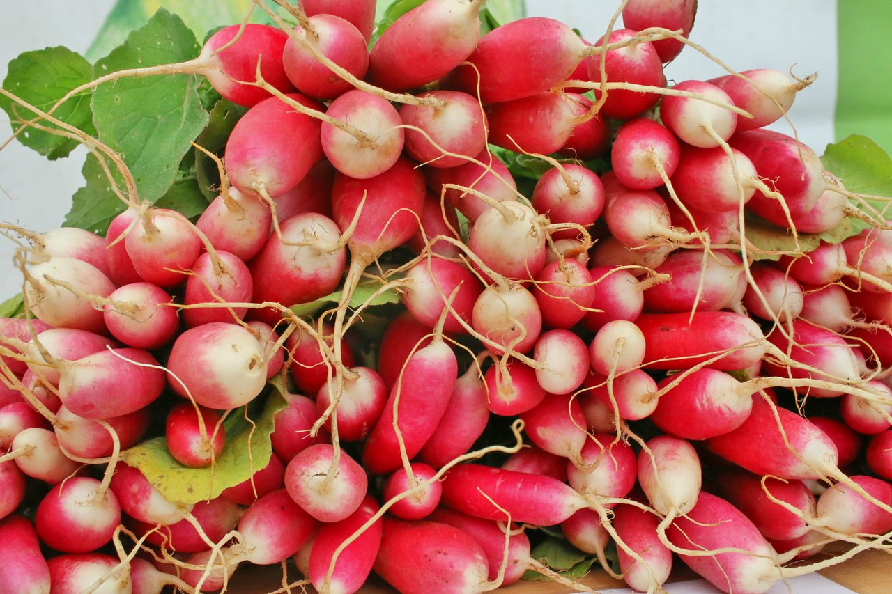 radishes.jpg