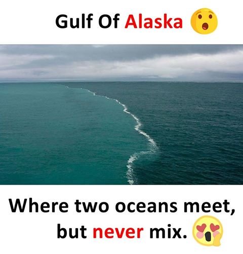 Alaska 2 Oceans Meet But Never Mix — Steemit