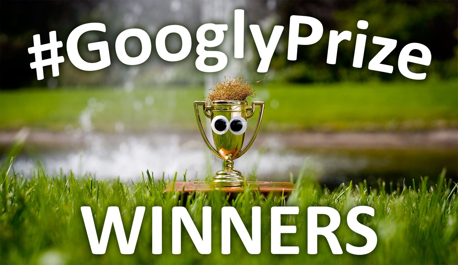 GooglzPriye Winners 11