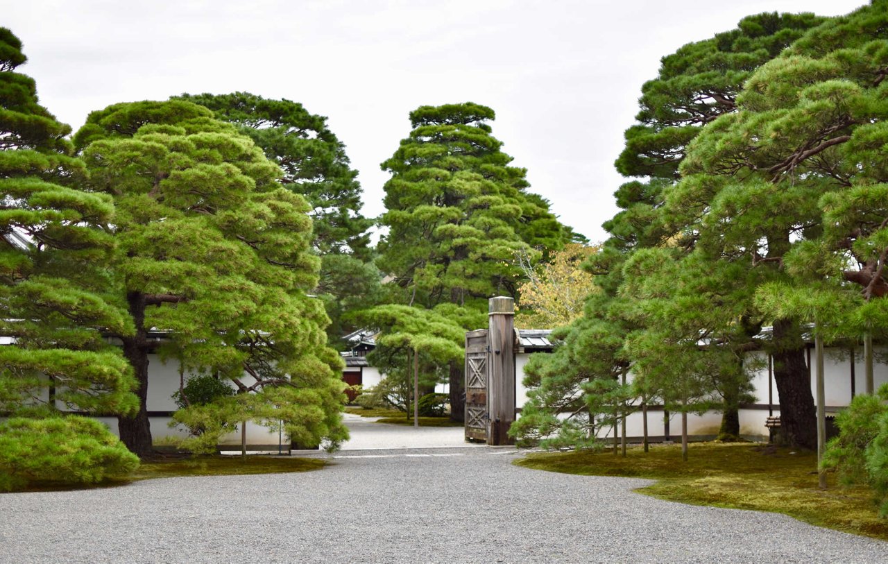 kyoto-gyoen-0.jpg