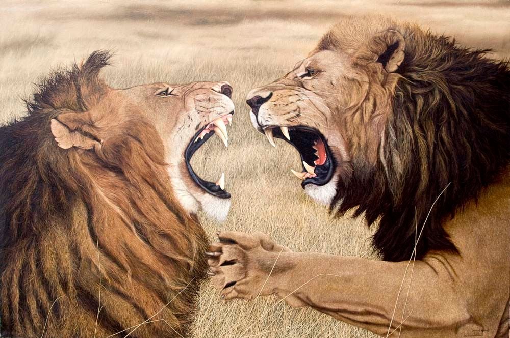 Fighting-Lions.jpg