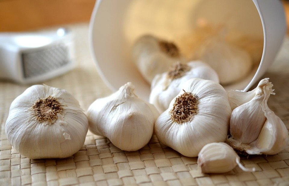 garlic-545223_960_720.jpg